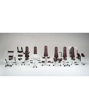 Gymna W-Move Set mit 10 Geräten inkl. W-Move Twistings OHNE Fitvibe Excel Pro (Standard Training Concept mit Twisting)